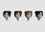 hairstyle in 4 colors
