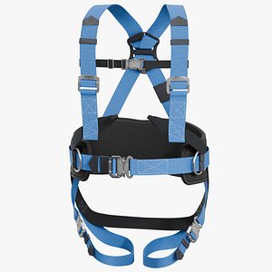 SafetyBelt 02