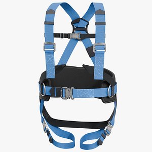 SafetyBelt 02