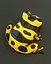 Cartoon-Frosch 3D-Modelle