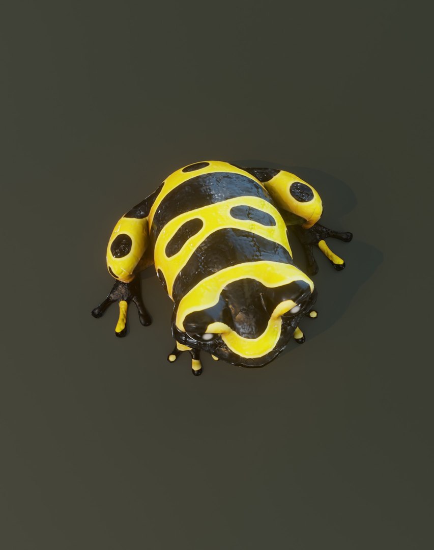 3D model Cartoon Frog 3D Models https://p.turbosquid.com/ts-thumb/Hg/pnSaG3/c1/32/jpg/1655848950/1920x1080/fit_q87/7b75075b95c4383e540f24ba5a88d7116b9352a6/32.jpg