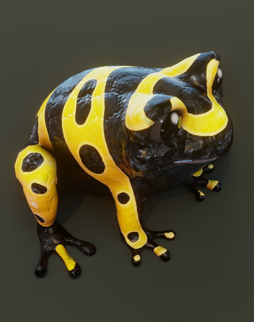 3D model Cartoon Frog 3D Models https://p.turbosquid.com/ts-thumb/Hg/pnSaG3/dH/29/jpg/1655848944/1920x1080/fit_q87/051e85d167d417c0f31d669992d1aa1fb3ffd80e/29.jpg