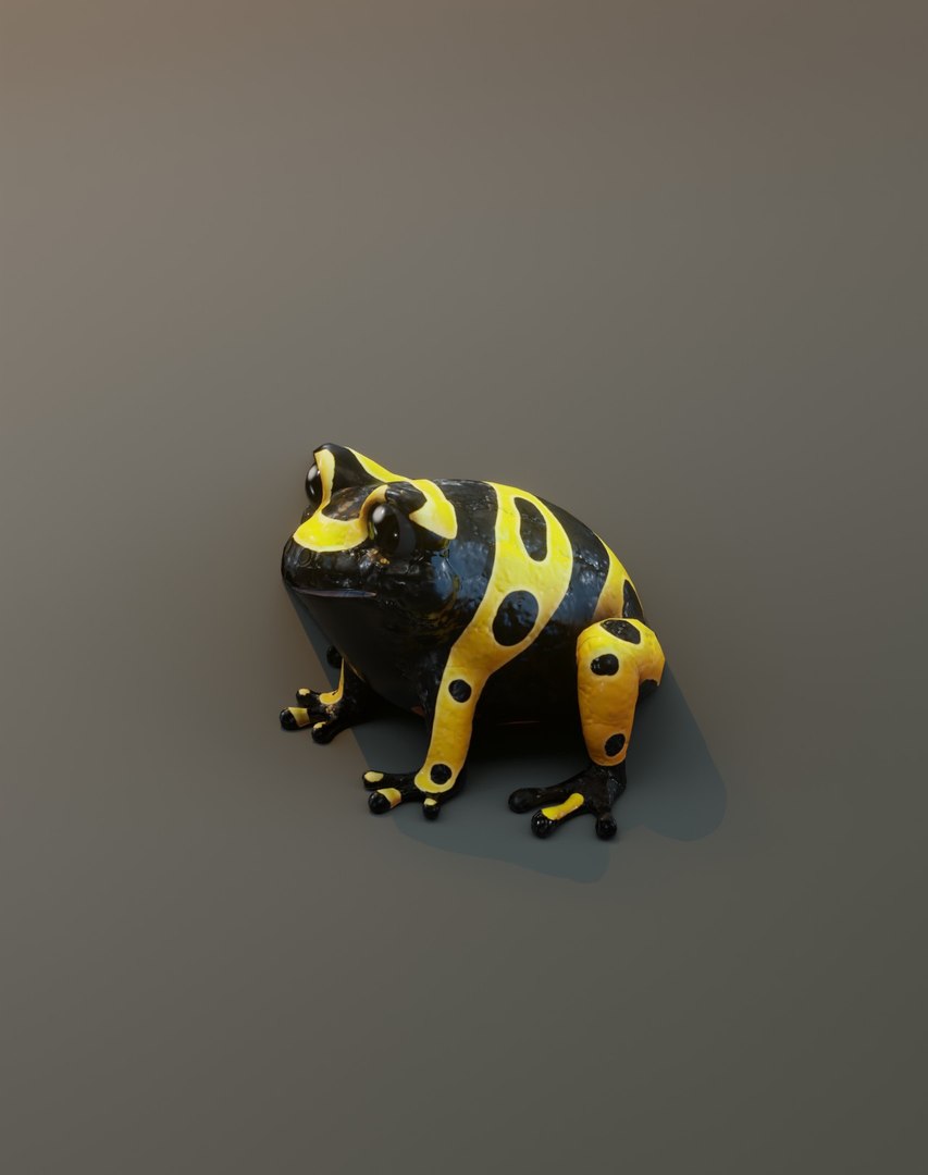 3D model Cartoon Frog 3D Models https://p.turbosquid.com/ts-thumb/Hg/pnSaG3/hw/38/jpg/1655848961/1920x1080/fit_q87/79444be5262e1c371f9e1aa0b6030941c8f31309/38.jpg
