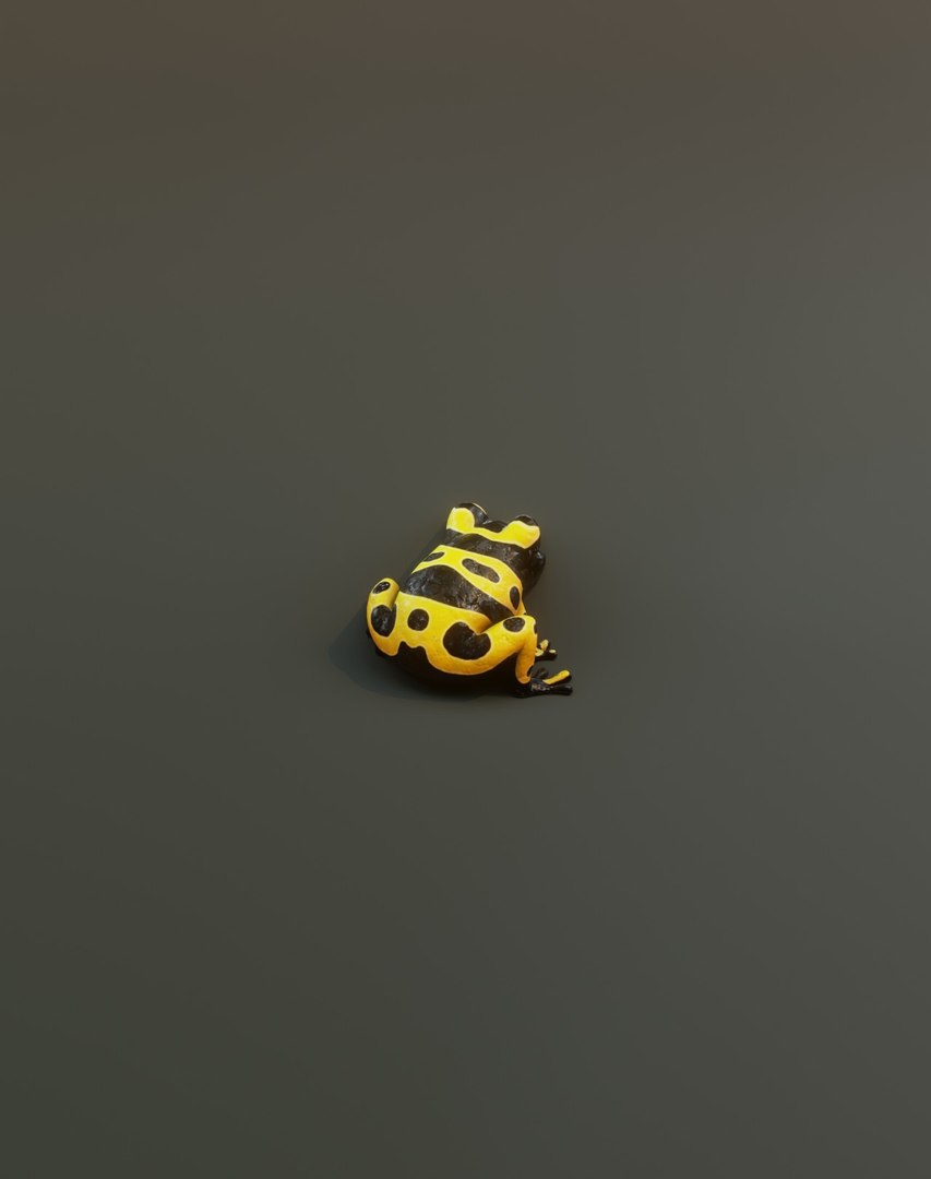 3D model Cartoon Frog 3D Models https://p.turbosquid.com/ts-thumb/Hg/pnSaG3/lu/36/jpg/1655848957/1920x1080/fit_q87/ce7a4e37ef5c34db25d97098aa9b4df71e949590/36.jpg