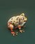 Cartoon-Frosch 3D-Modelle