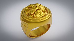 3D Yorkshire Terrier Dog Ring model