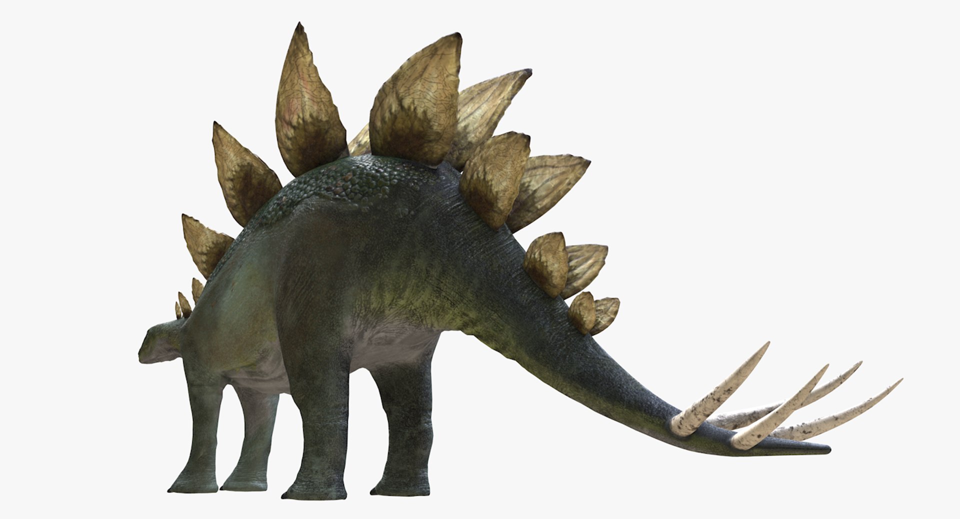 stegosaurus dinosaur animal 3D https://p.turbosquid.com/ts-thumb/Hh/DMR36L/3nDPKPkU/stegosaurus5thsignature/tif/1543276194/1920x1080/fit_q87/252e31eb8e0ba8b02ed4bb20531658490b1818f8/stegosaurus5thsignature.jpg