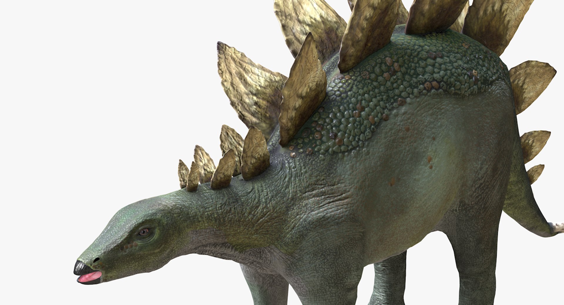 stegosaurus dinosaur animal 3D https://p.turbosquid.com/ts-thumb/Hh/DMR36L/I8pUc9Qs/stegosaurus7thsignature/tif/1543276255/1920x1080/fit_q87/92859584081c18148f99a8af18a6972c25473543/stegosaurus7thsignature.jpg