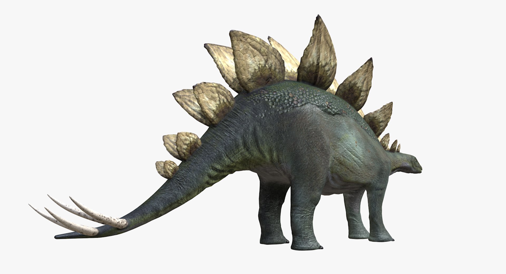 stegosaurus dinosaur animal 3D https://p.turbosquid.com/ts-thumb/Hh/DMR36L/aMWEP5Zc/stegosaurus6thsignature/tif/1543276217/1920x1080/fit_q87/f5a3065288d14b7d1ced0866d37d6a1212efe57b/stegosaurus6thsignature.jpg