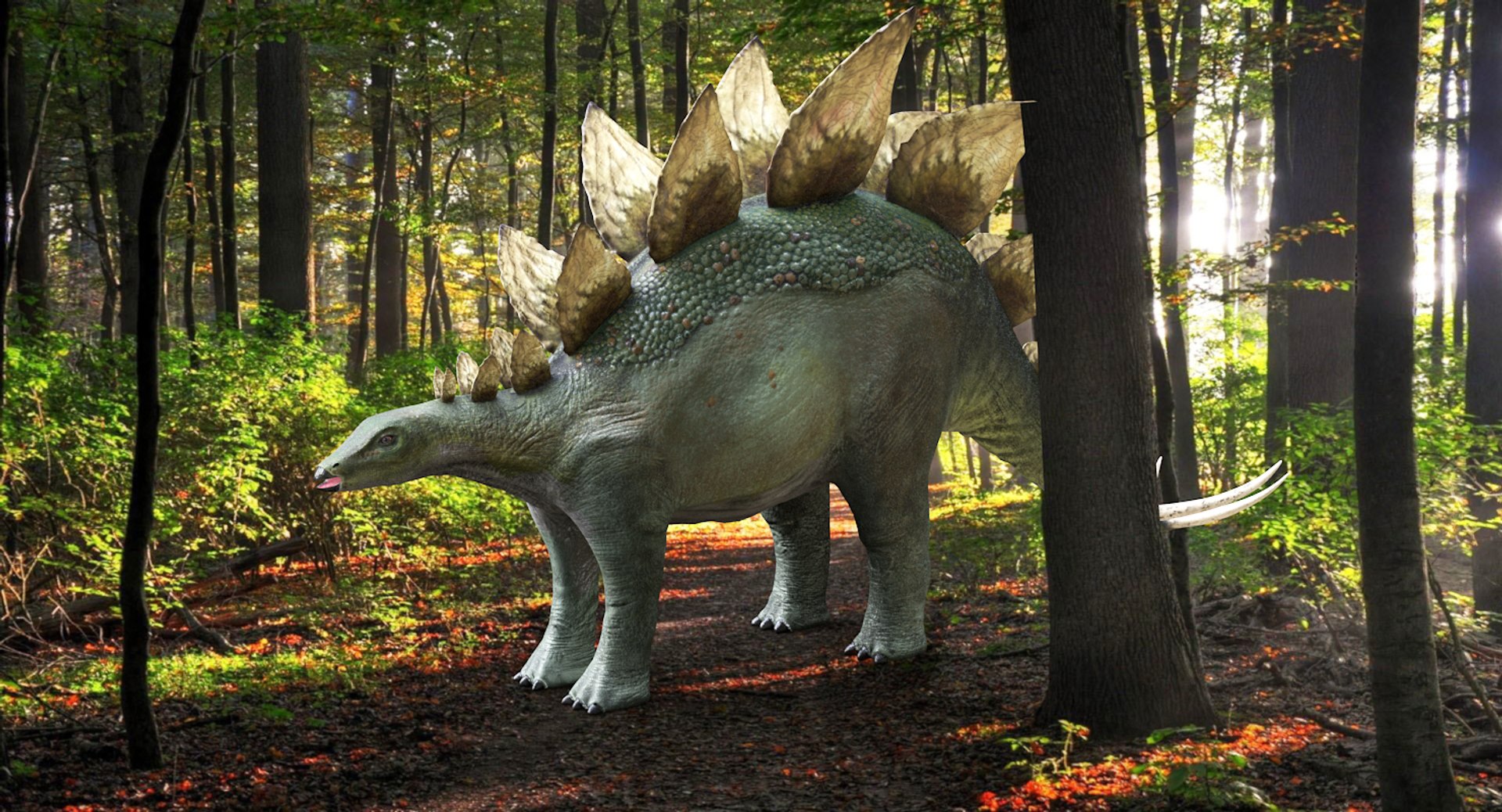 stegosaurus dinosaur animal 3D https://p.turbosquid.com/ts-thumb/Hh/DMR36L/lcC1uq5w/stegosaurus3rdsignature/tif/1543276137/1920x1080/fit_q87/fc5f05b437d3173ee14778d4f5d443dd9bd32548/stegosaurus3rdsignature.jpg