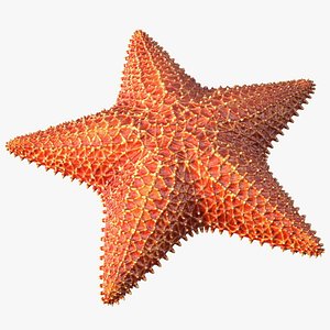 Starfish