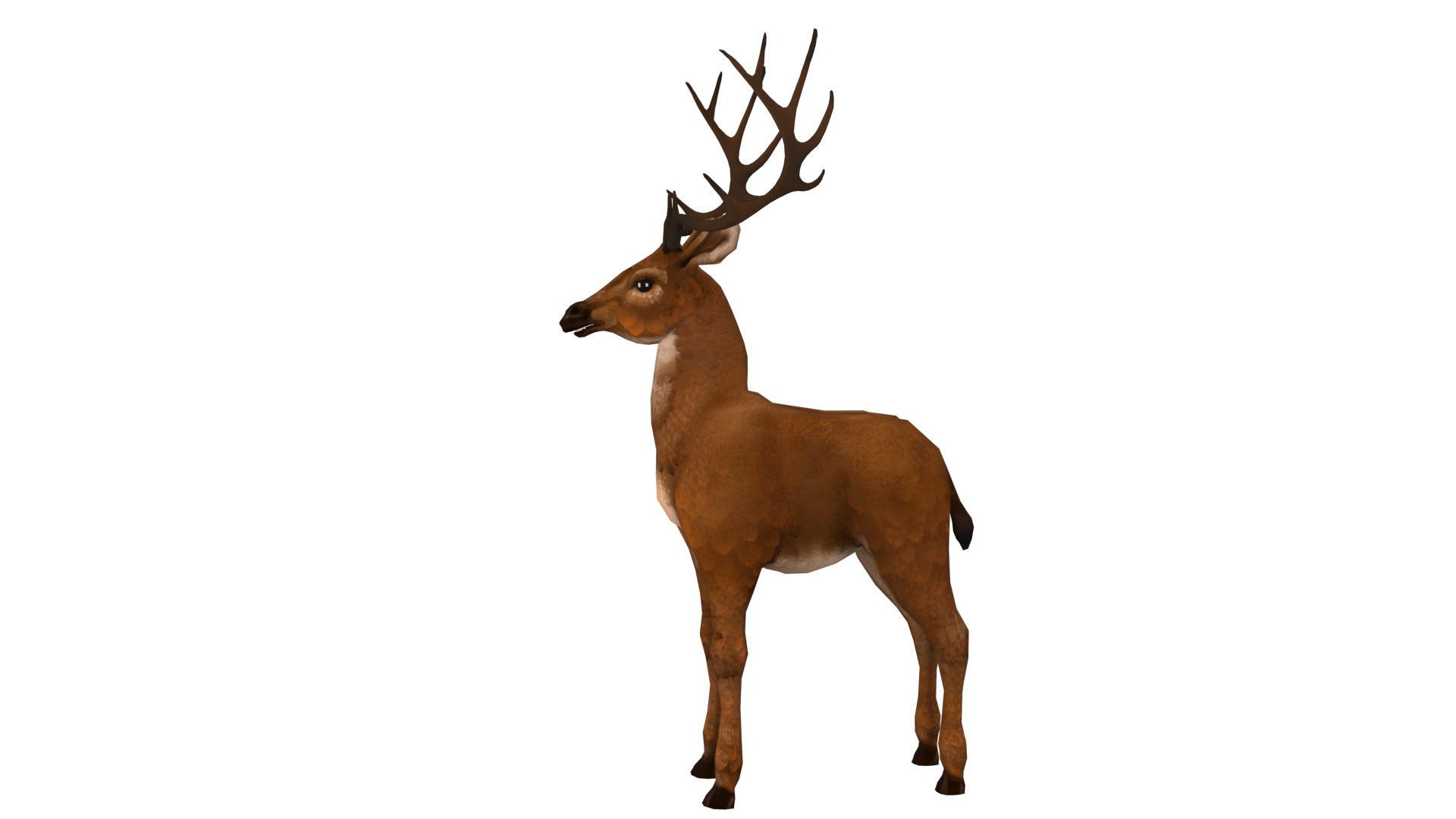 3D Model Deer Rig High-poly Textured - TurboSquid 2345361