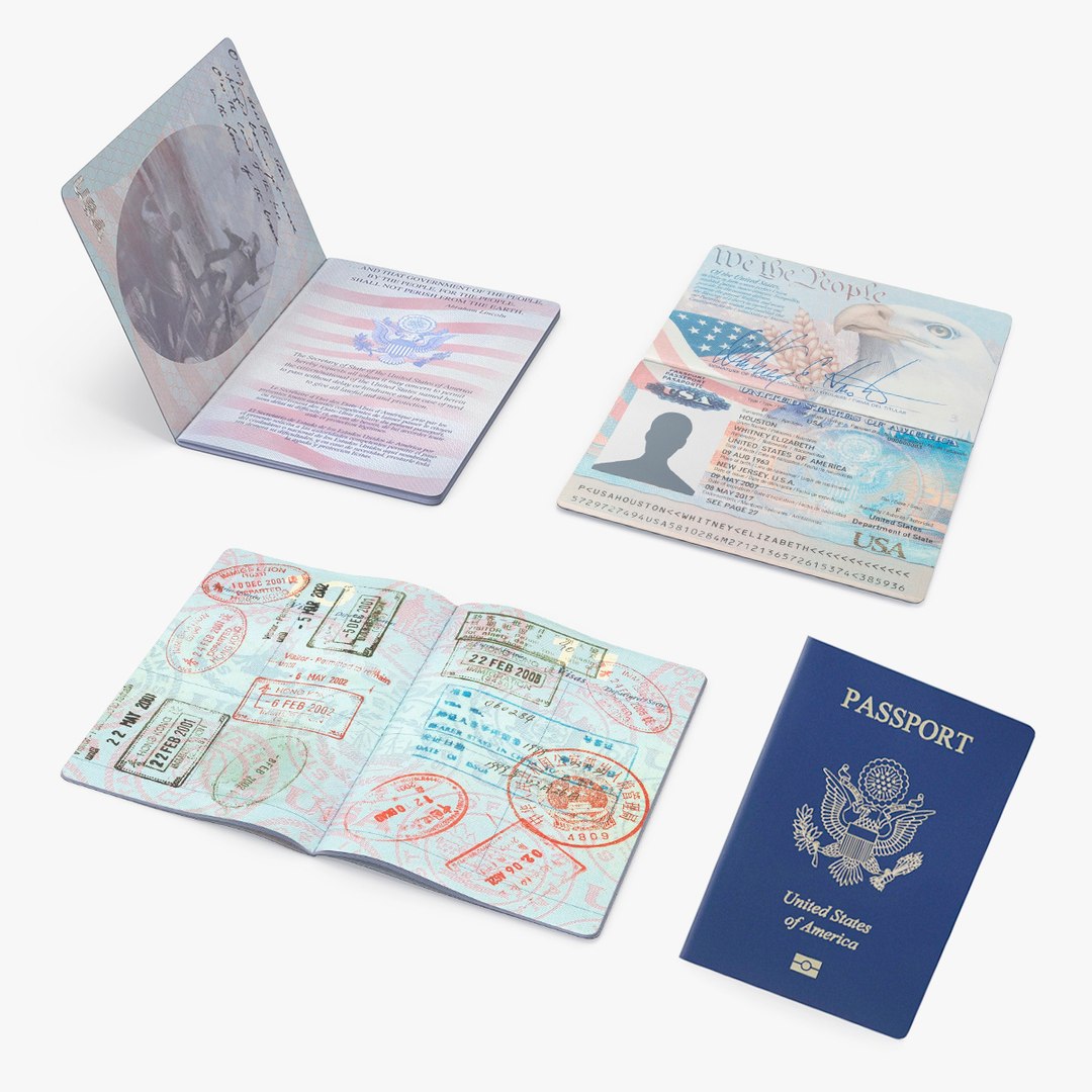 USA Passports Collection 2 3D model preview