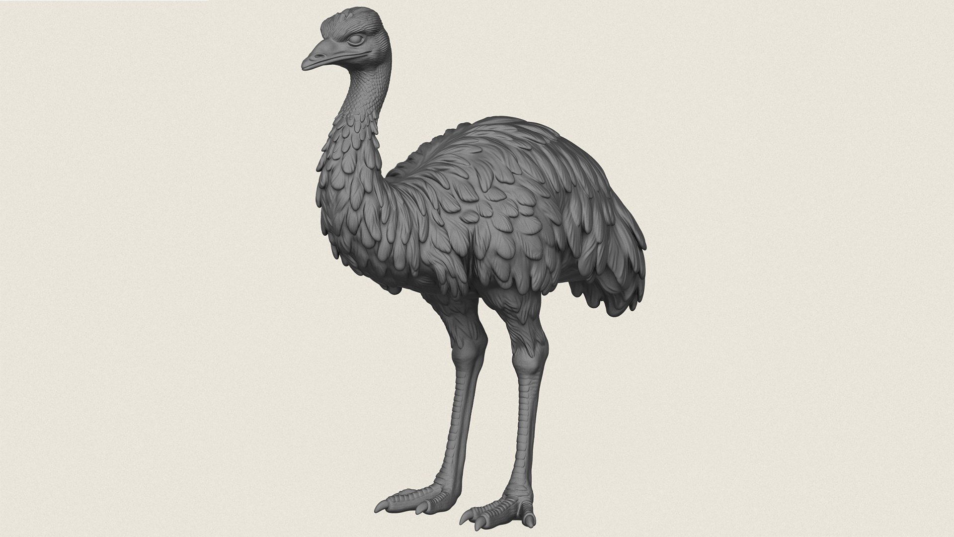 Emu Bird Print Ready 3D Model model https://p.turbosquid.com/ts-thumb/Hh/Xg4Fwq/3J/emubird01/jpg/1786602200/1920x1080/fit_q87/13a5299756b072f6213b034345051cbc79582642/emubird01.jpg