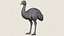 Emu-Vogel, druckfertiges 3D-Modell