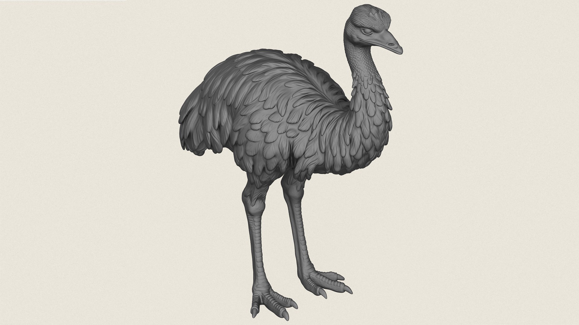 Emu Bird Print Ready 3D Model model https://p.turbosquid.com/ts-thumb/Hh/Xg4Fwq/Jv/emubird06/jpg/1786602207/1920x1080/fit_q87/daaa47d72ff1a106b7be30e6e47ae74b5f24436d/emubird06.jpg
