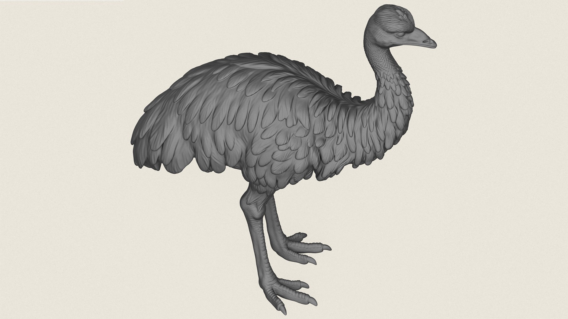 Emu Bird Print Ready 3D Model model https://p.turbosquid.com/ts-thumb/Hh/Xg4Fwq/VF/emubird07/jpg/1786602208/1920x1080/fit_q87/a0016ed7fa28fc3d0778d5e647026b5560553c79/emubird07.jpg