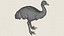 Emu-Vogel, druckfertiges 3D-Modell
