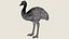 Emu-Vogel, druckfertiges 3D-Modell
