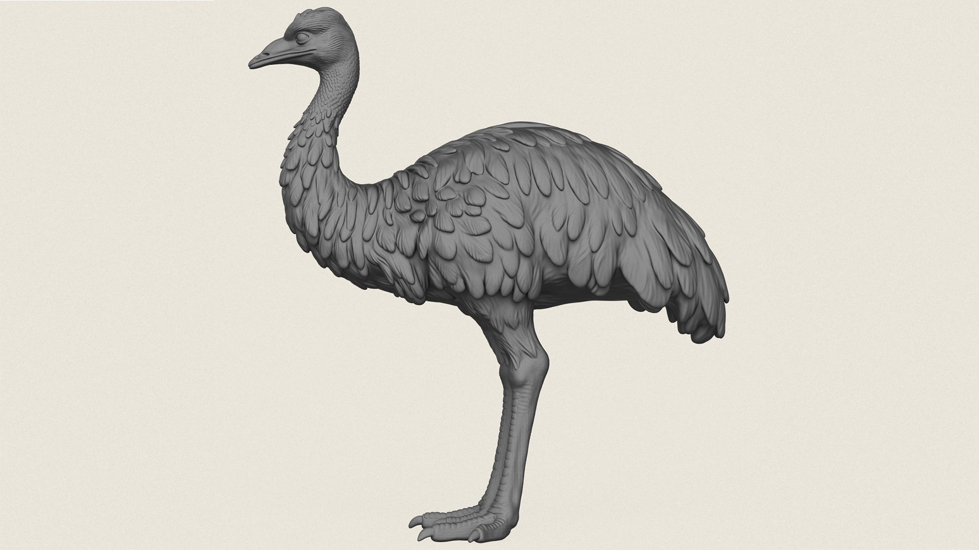 Emu Bird Print Ready 3D Model model https://p.turbosquid.com/ts-thumb/Hh/Xg4Fwq/tA/emubird04/jpg/1786602204/1920x1080/fit_q87/f2401a619dc8087b8eb356feac737ee522ea935c/emubird04.jpg