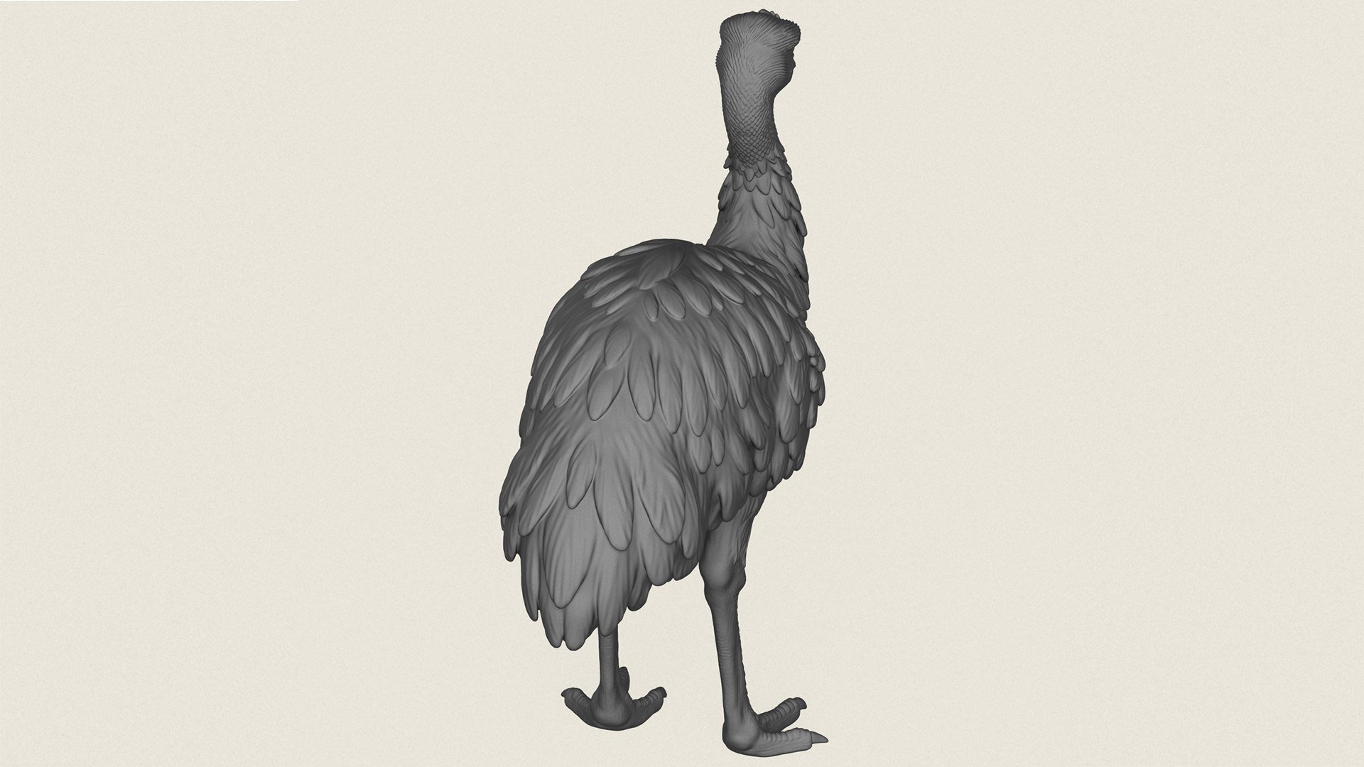 Emu Bird Print Ready 3D Model model https://p.turbosquid.com/ts-thumb/Hh/Xg4Fwq/zb/emubird08/jpg/1786602210/1920x1080/fit_q87/4535b53ff8d633b4e3be7e100940ea9d7326999f/emubird08.jpg