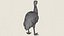 Emu-Vogel, druckfertiges 3D-Modell