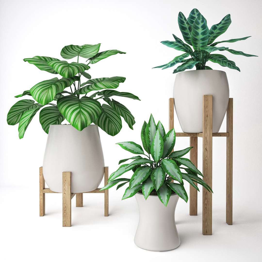 Set Plants Model - TurboSquid 1415082