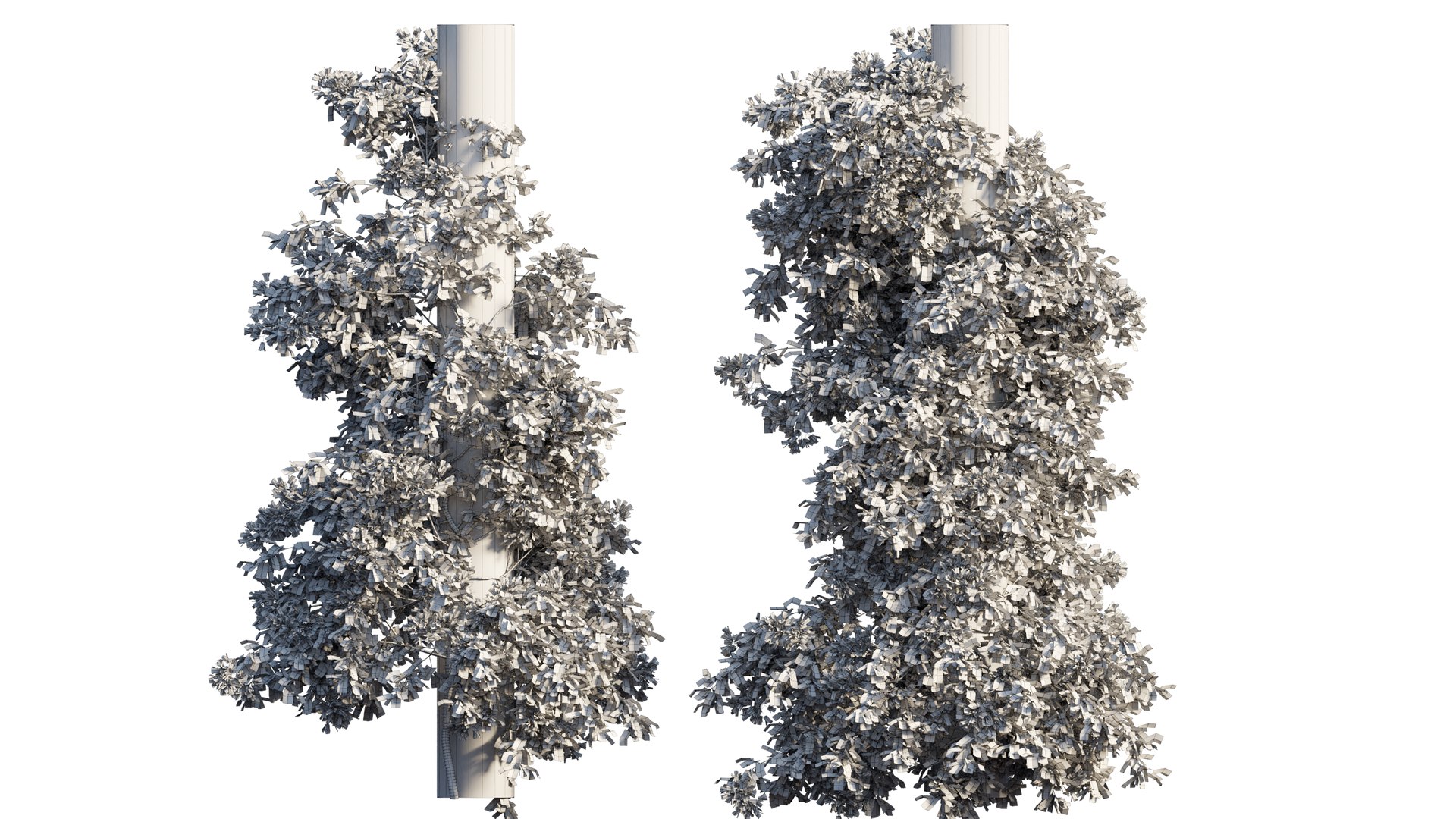 3D model Bougainvillea plant set 09 https://p.turbosquid.com/ts-thumb/Hh/rGimWN/p8/5_interactivelightmix/png/1641181091/1920x1080/fit_q87/69d18c04a31ec67f7dfce6096123ed4d031b4587/5_interactivelightmix.jpg