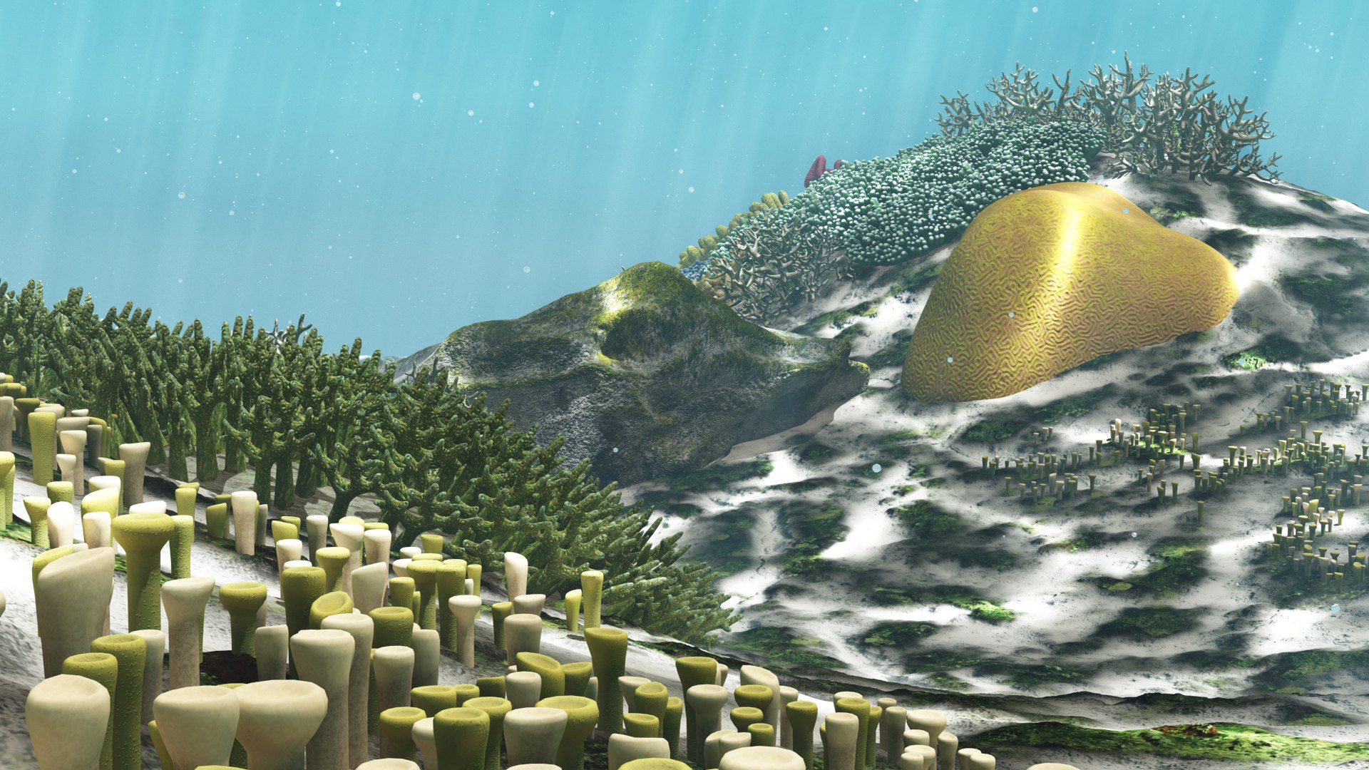 3D cartoon underwater animation https://p.turbosquid.com/ts-thumb/Hh/tYl6Hr/iffCHcPY/cover_07/jpg/1558496440/1920x1080/fit_q87/1ceced262a66dfd91f8d6aa04a74cd326449d6e8/cover_07.jpg