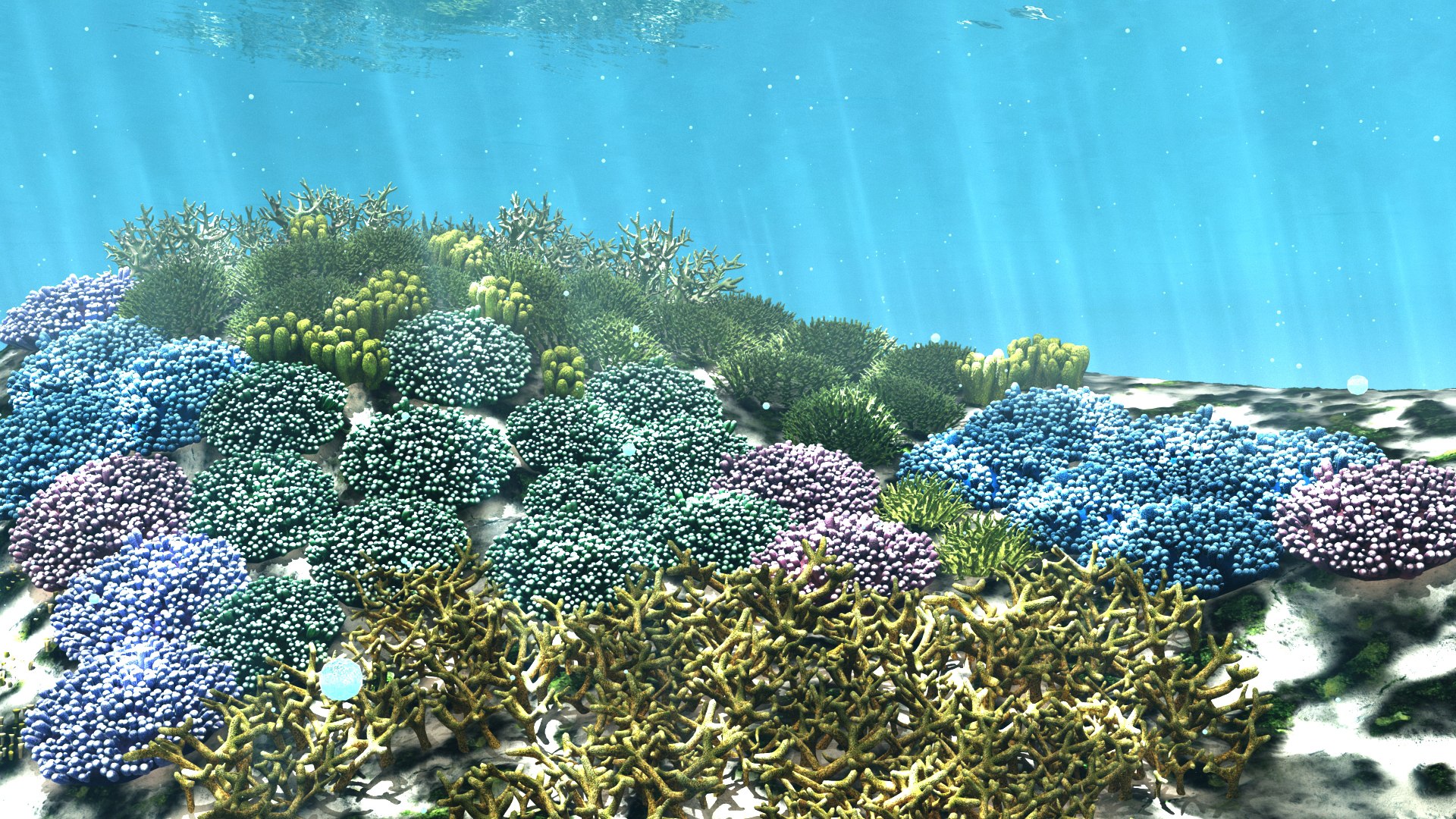 3D cartoon underwater animation https://p.turbosquid.com/ts-thumb/Hh/tYl6Hr/yEVGzVlg/cover_08/jpg/1558496440/1920x1080/fit_q87/089c08c32d9480c5c1490e08e40582c4e752ea13/cover_08.jpg