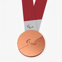 Paralympic Games Bronze Award Medal Red Ribbon