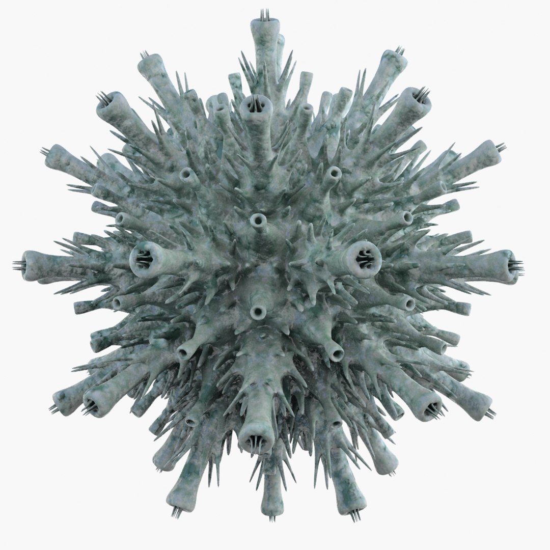 micro object mht max