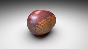 3D Chestnut Seed