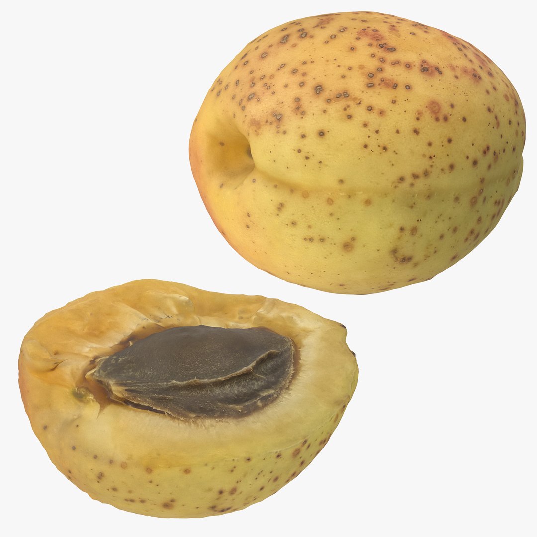 3D Apricot Model - TurboSquid 2423397