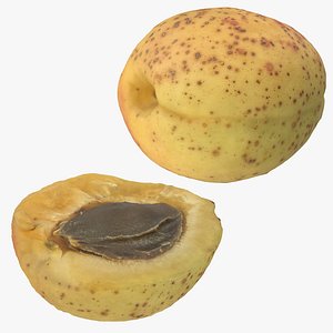Apricot