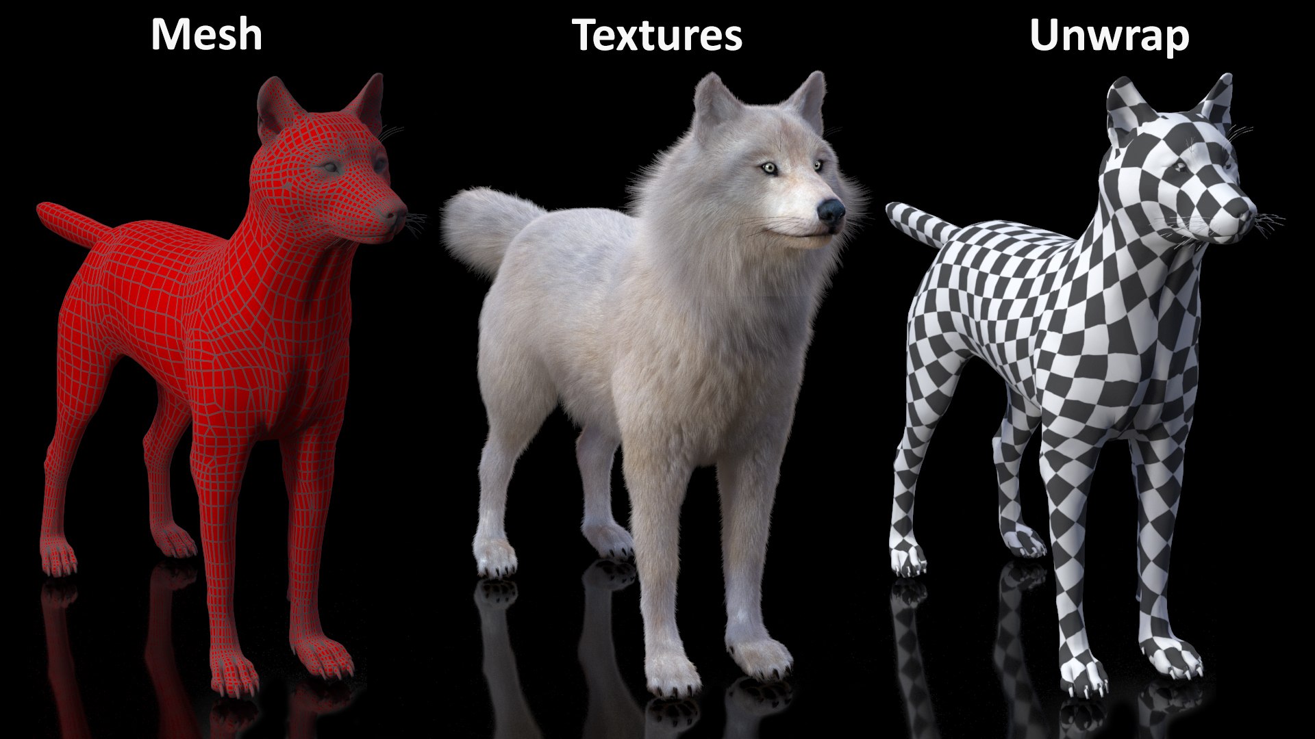 Polar Wolf Fur model https://p.turbosquid.com/ts-thumb/Hi/UrqkwG/I6/polarwolffurmb3dmodel023/jpg/1713309371/1920x1080/fit_q87/92ec1a7d43d2d3f65dd97758fd056599b8817f2f/polarwolffurmb3dmodel023.jpg