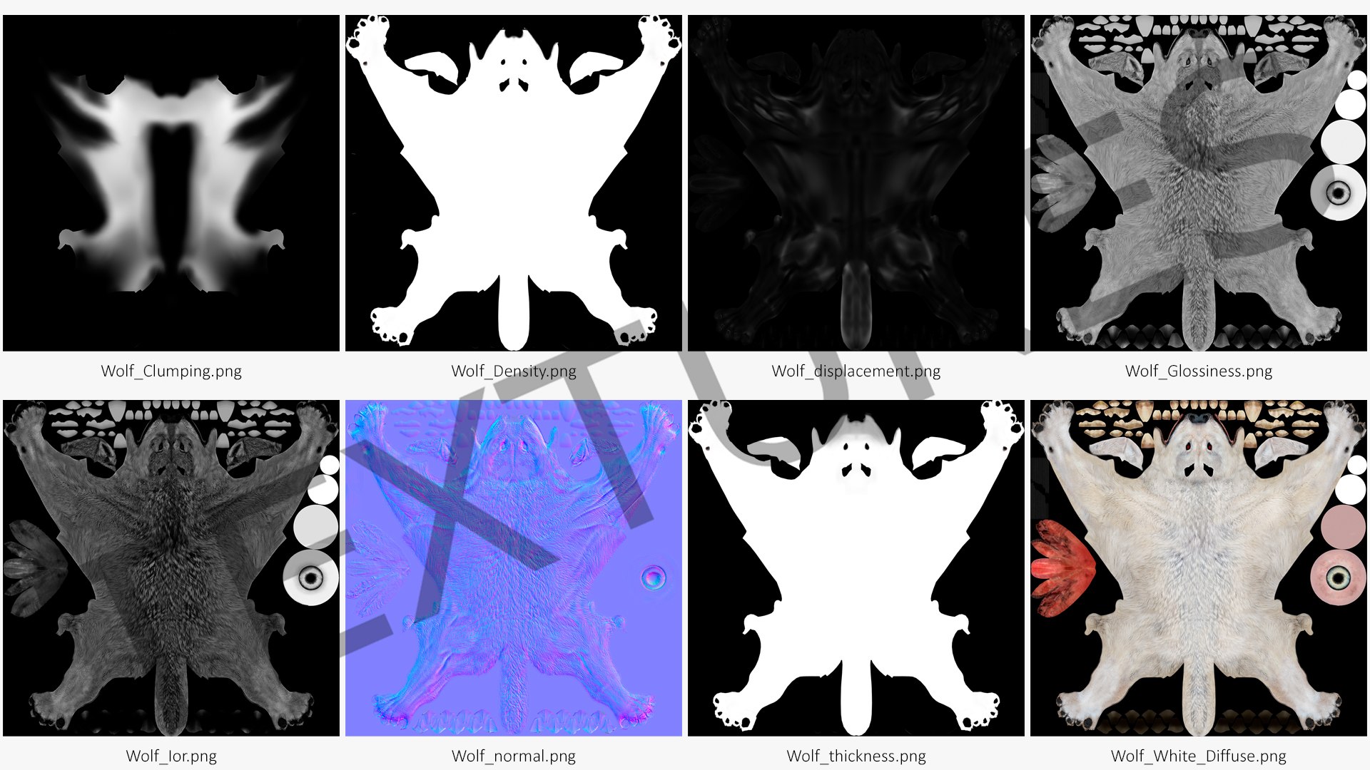 Polar Wolf Fur model https://p.turbosquid.com/ts-thumb/Hi/UrqkwG/pb/polarwolffurmb3dmodel026/jpg/1713309384/1920x1080/fit_q87/82404696fc6c5d17f542079dc0c19a23777a9ffe/polarwolffurmb3dmodel026.jpg