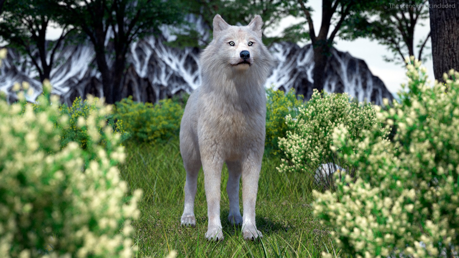 Polar Wolf Fur model https://p.turbosquid.com/ts-thumb/Hi/UrqkwG/tH/polarwolffurmb3dmodel002/jpg/1713309280/1920x1080/fit_q87/ce1ed52370b82ca6450ae8e4afc5ae1b79a999cf/polarwolffurmb3dmodel002.jpg