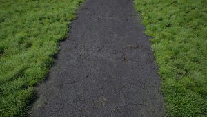 Old Road Textures Unreal Asset 3D model