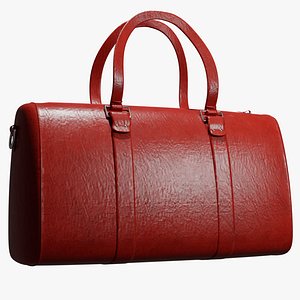 3D Red Leather bag