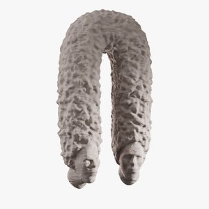 3D Modern Art Sculpture model