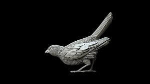 3D bird model
