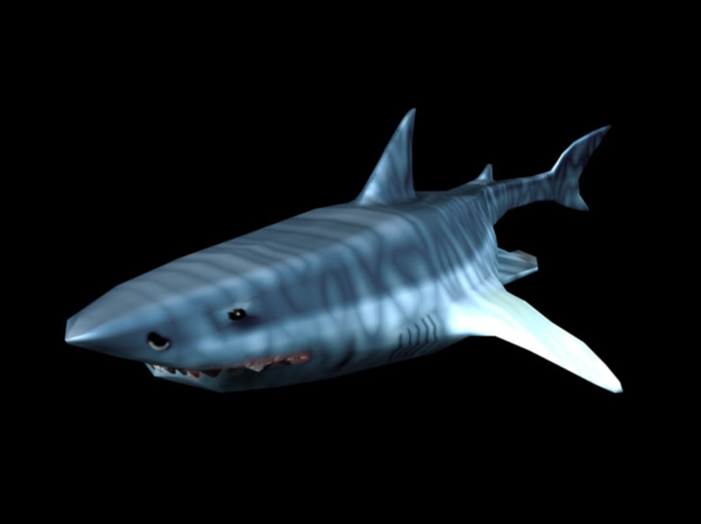 3d Model Great Shark