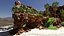 Tropical Beach Scene