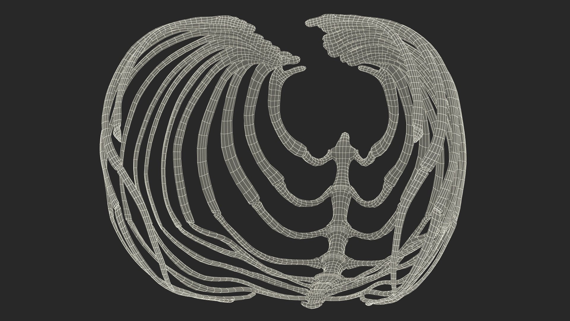 3D Anatomical Skeleton Of Dog Rib Cage - TurboSquid 2391424