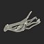Mountain Bike Frame