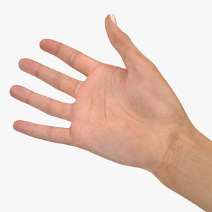 3D australian female hand australia