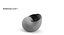 Snail shell