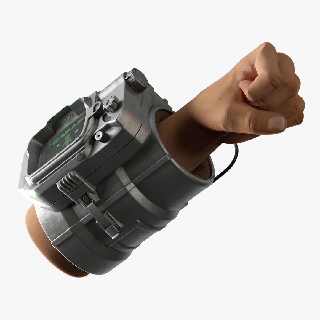 Fallout Pip Boy on the Human Arm 3D model preview