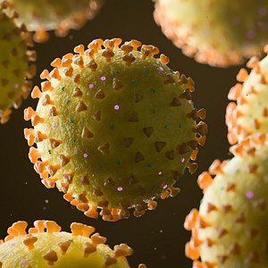 CoronaVirus